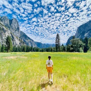 요세미티 1박 2일 투어 - 고급 미국 산장, 스테이크 식사, 별보기
