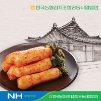 한국농협김치 청산 총각김치3kg