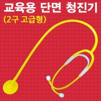 교육용 단면 청진기 2구 고급형