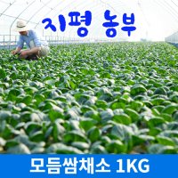 [물맑은 양평] 지평 농부 모듬쌈채소(1kg)  1kg  1개