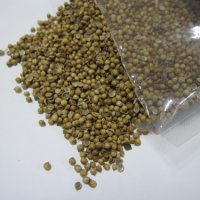 코리안더 코리앤더 고수씨 터키 Coriander 1kg