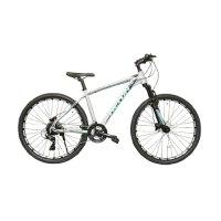 알톤 샌드스톤 3.0D MTB 자전거 2021년