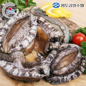 [완도금일수협] 활 참전복 (특대) 1kg(8-9미)