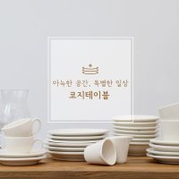 시라쿠스 메이플 밴드 브라운 라인 시리즈 접시