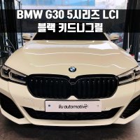 BMW G30 5시리즈 LCI 전용 키드니그릴