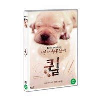 점프몰 DVD 퀼 1disc