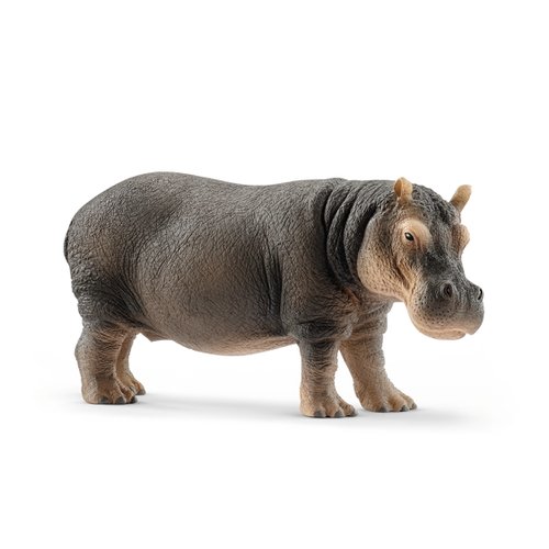 하마 (Hippo)