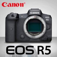 캐논 EOS R5 (신동급)