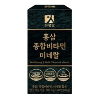 진생당 홍삼 종합비타민 미네랄 800mg x 60정