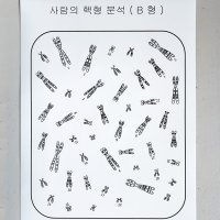 사람의 핵형분석 스티커 세트팩(10세트/팩)