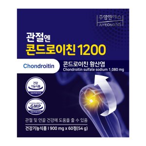 관절엔콘드로이친1200 최저가 가성비상품