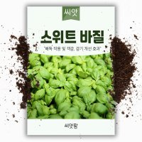 스위트 바질씨앗 /바실 (2000립) 바질키우기  1개