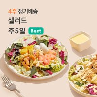 포켓샐러드 4주 정기 배달 [1일1식] 주5일