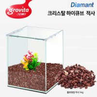 그로비타 올디아망 유리어항 15하이큐브 플로워링 적사 1Kg