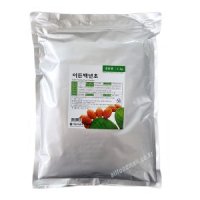 이든타운 백년초분말 1kg 천연색소 백년초가루