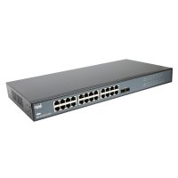 리버네트워크 넥시 NX-SG1024-2SFP (NX1139)