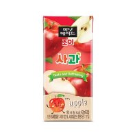 코카콜라 미닛메이드 조이 사과 195ml