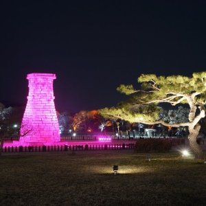 경주야경투어 최저가 가성비상품