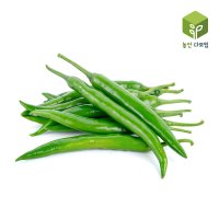 매운 땡초고추 청양고추 특 10kg  1개