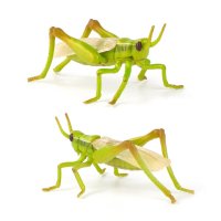 메뚜기모형 유치원 자연학습 곤충 피규어 수집 디테일만족 장난감