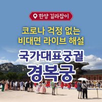 [서울/종로구/체험]국가대표궁궐 경복궁 - 한양길라잡이 해설사와 함께하는 도보투어 친구가족여행