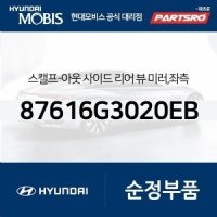 사이드미러커버 백미러커버,운전석쪽 (에보니 블랙) (87616G3020EB) i30