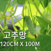 고추그물망 120cmX100m 오이그물망 고추망 원예망 농업용 농사 그물 망  1개