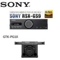소니 RSX-GS9 하이엔드 카오디오  소니 gtk-sg10 캠핑용 블루투스 스피커