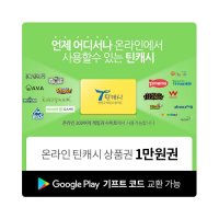 틴캐시 10000원