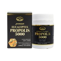 네이쳐스탑 프리미엄 유칼립투스 프로폴리스 5000mg 120캡슐