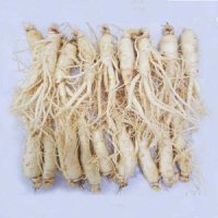 세척난발삼 소1채(15-18뿌리) 700g