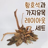 황호석과 가지유목 레이아웃 셋트