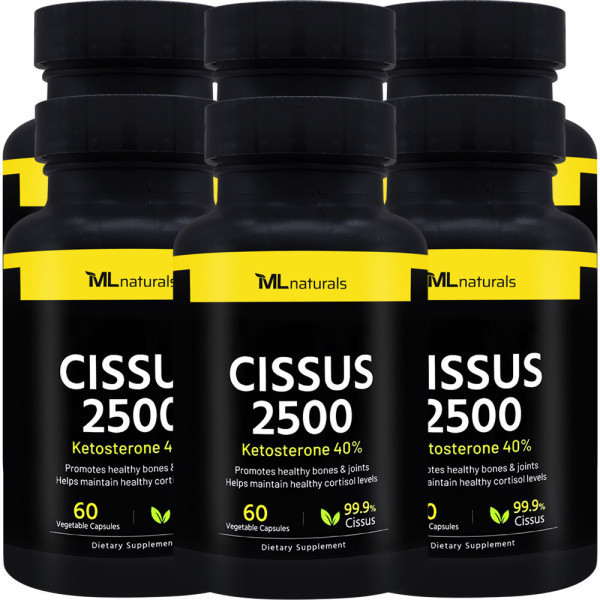 마이라이프내추럴스 6병 마이라이프 시서스 <b>Cissus</b> 2500 60 야채캡슐