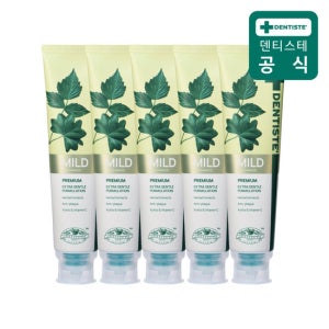 덴티스테 부드러운 거품치약 마일드 160g 5개