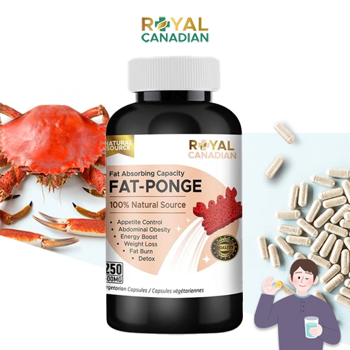 로얄캐네디언 <b>팻폰지</b> 저분자 키토산 차전자피 250캡슐