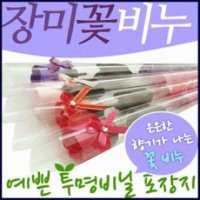 장미 비누꽃 1송이W31B9A0hm