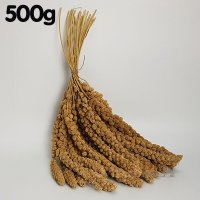 옐로우 밀렛 스프레이 500g 소동물 앵무새 핀치