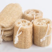 수세미열매 천연 수세미 만들기 제로웨이스트 샵 키트 루파 코코넛 제품