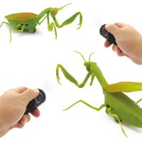 반디 반디-무선조종 R C 자이언트 사마귀 GIANTMANTIS