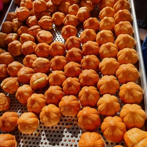 🧄찰보리흑마늘빵🧄 국내산 찰보리로 만든 영양간식  선물, 단양 흑마늘빵