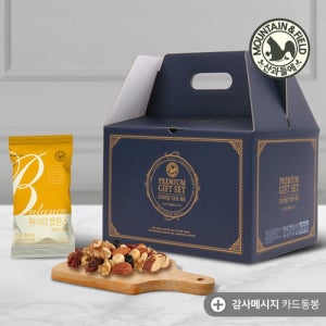 [산과들에]하루견과 원데이발란스골드 100봉 선물세트