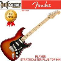 펜더 MEXICO PLAYER PLUS TELECASTER 일렉기타