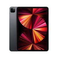 Apple 아이패드 프로 11형 3세대 M1 WIFI 2T 스페이스 그레이 (MHR23KH/A)