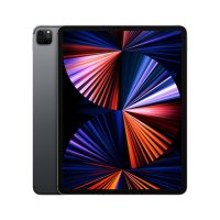 Apple 아이패드 프로 12.9형 5세대 M1 WIFI + 셀룰러 128G 스페이스 그레이 (MHR43KH/A)