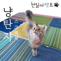 천일카페트 천일 냥탄자 고양이 스크래쳐매트