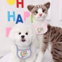 에스엠파티 강아지 케이프 생일 스카프 고양이 턱받이