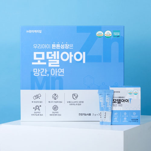모델아이