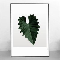 Philodendron No1 북유럽 인테리어 액자 30호