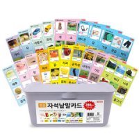 자석나라 자석놀이교구 한글 영어 양면자석 낱말카드 240pcs