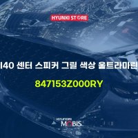 I40 센터 스피커 그릴 색상 울트라마린 (847153Z000RY)